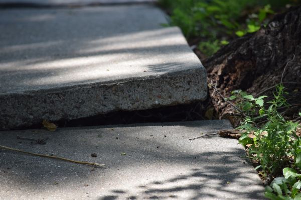 Sidewalk Leveling in Trenton
